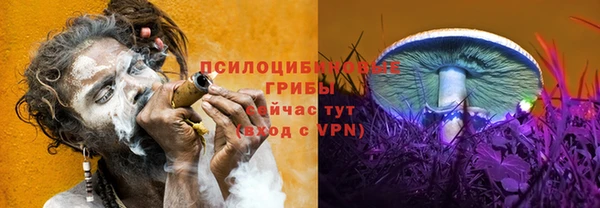 каннабис Верея